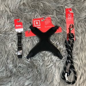 3 Piece Dog Walking Kit by Reddy (Small)